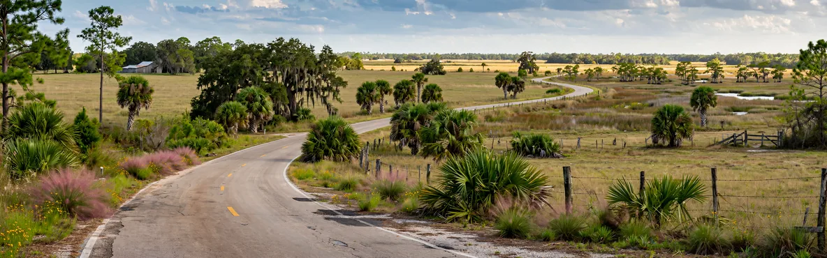 Beyond Kissimmee: Epic Road Trips to Take from the Heart of Florida