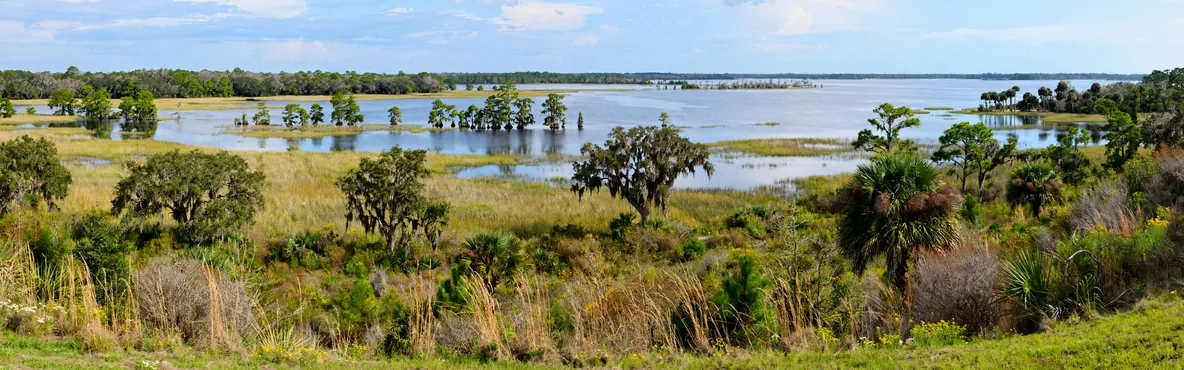 Unforgettable Adventures in Kissimmee, FL: Must-Visit Attractions and Activities